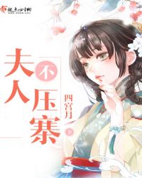 夫人不压寨TXT全集封面