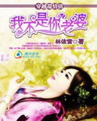 迷糊穿越:我不是你老婆TXT全集封面