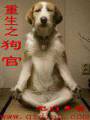 重生之狗官TXT全集封面