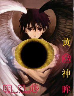 黄金神眸TXT全集封面