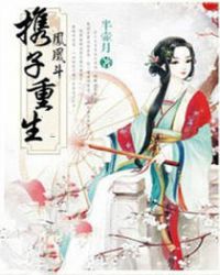 凤凰斗:携子重生TXT全集封面
