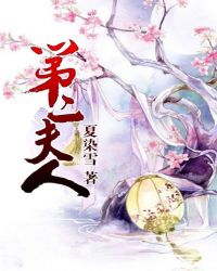 第二夫人TXT全集封面