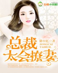 婚心如初:总裁太会撩妻TXT全集封面