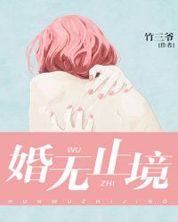 婚无止境TXT全集封面
