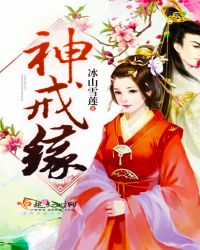 神戒缘TXT全集封面
