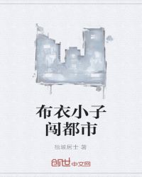 布衣神算TXT全集封面
