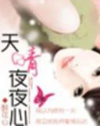 天晴夜夜心TXT全集封面