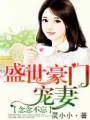 念念不忘:盛世豪门宠妻TXT全集封面