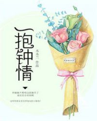 一抱钟情TXT全集封面