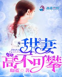 甜妻高不可攀TXT全集封面