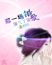 那一场错爱毁灭了谁TXT全集封面