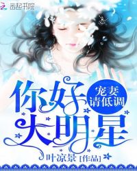 宠妻请低调:你好,大明星TXT全集封面