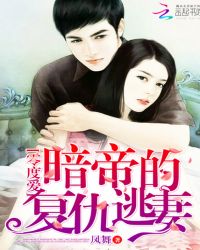 零度爱:暗帝的复仇逃妻TXT全集封面