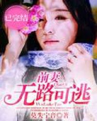 前妻无路可逃TXT全集封面