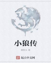 小狼传TXT全集封面