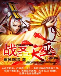 战圣天巫TXT全集封面