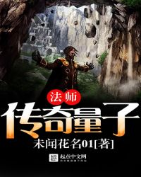 传奇量子法师TXT全集封面