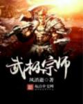 武极宗师TXT全集封面