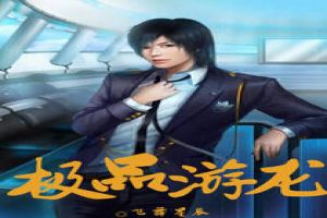 极品游龙TXT全集封面