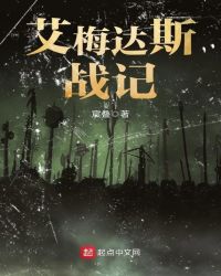 艾梅达斯战记TXT全集封面
