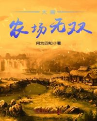 大唐农场无双TXT全集封面
