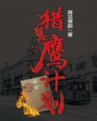 猎鹰计划TXT全集封面