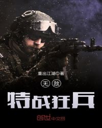 无敌特战狂兵TXT全集封面