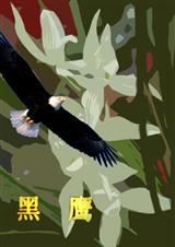 黑鹰TXT全集封面