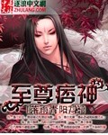 至尊痞神TXT全集封面
