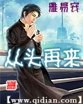 从头再来TXT全集封面