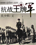 抗战王牌军TXT全集封面