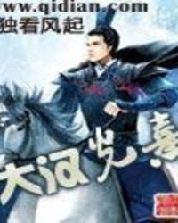 大汉光熹TXT全集封面