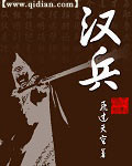 汉兵TXT全集封面