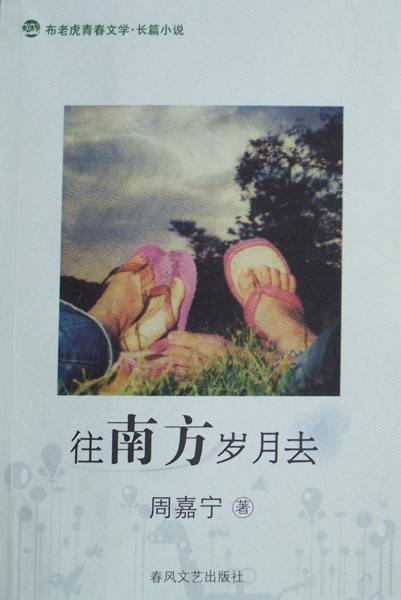往南方岁月去TXT全集封面