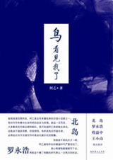 鸟,看见我了TXT全集封面