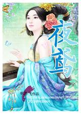 夜鸢TXT全集封面