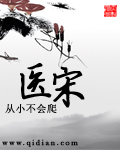 医宋TXT全集封面