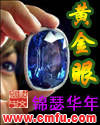 黄金眼TXT全集封面