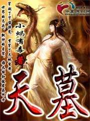 天墓TXT全集封面