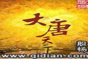 大唐天下TXT全集封面