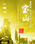 宝山TXT全集封面