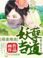 鬼王当道,冥妻难逃TXT全集封面