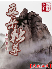 五岳独尊TXT全集封面