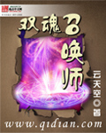 双魂召唤师TXT全集封面