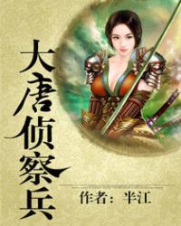 大唐侦察兵TXT全集封面
