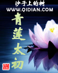 青莲太初TXT全集封面