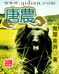 唐农TXT全集封面