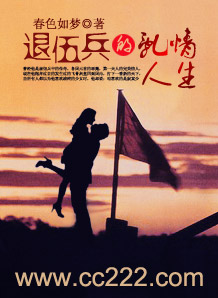 退伍兵的乱情人生TXT全集封面
