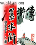 篡水浒TXT全集封面