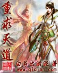 重求天道TXT全集封面